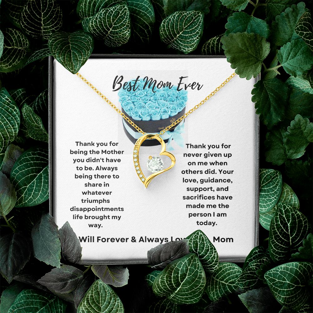 Forever Love Necklace | Valentin e's Day